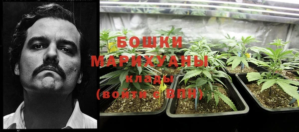бутират Гусь-Хрустальный