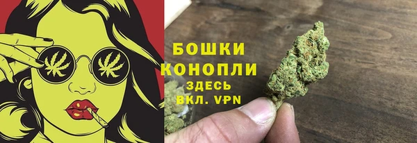 бутират Гусь-Хрустальный