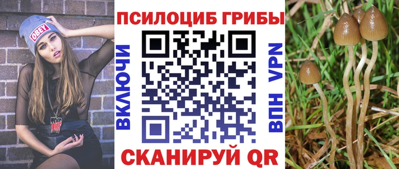 Купить где  Мышкин  Псилоцибиновые грибы Magic Shrooms 